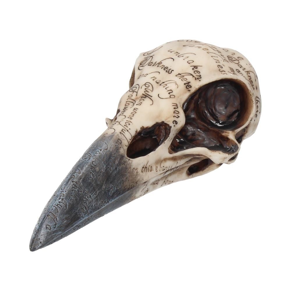 Nemesis Now - Edgar's Raven Skull Figurine - Crème